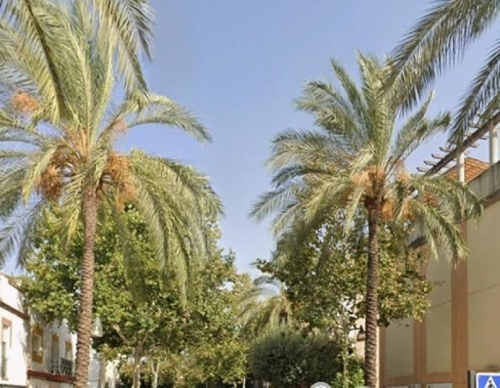 Alcalá De Guadaira Metropolitana De Sevilla Gewerberaum Bild 6328377