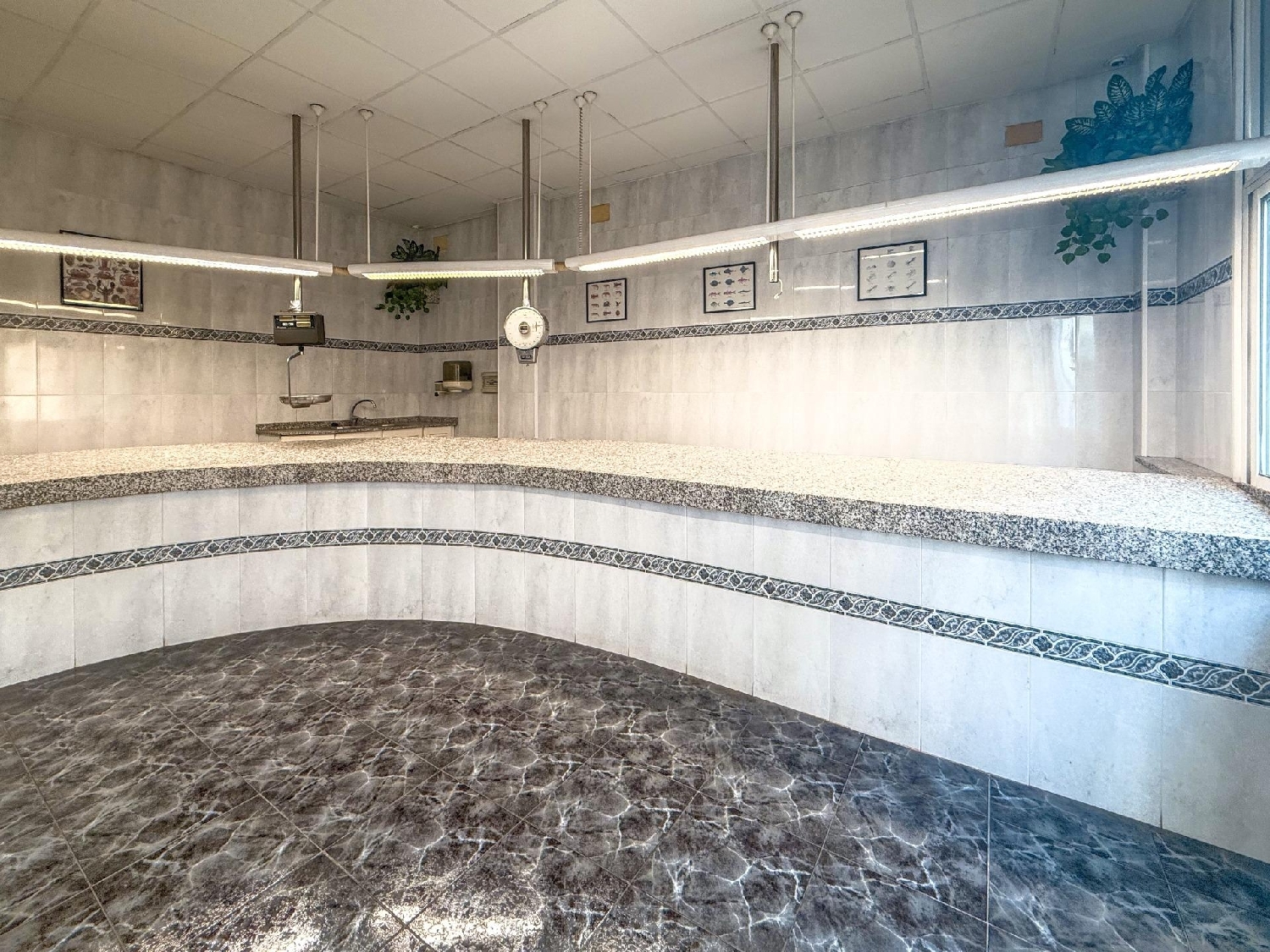 en venta local Alcanar Montsià 4