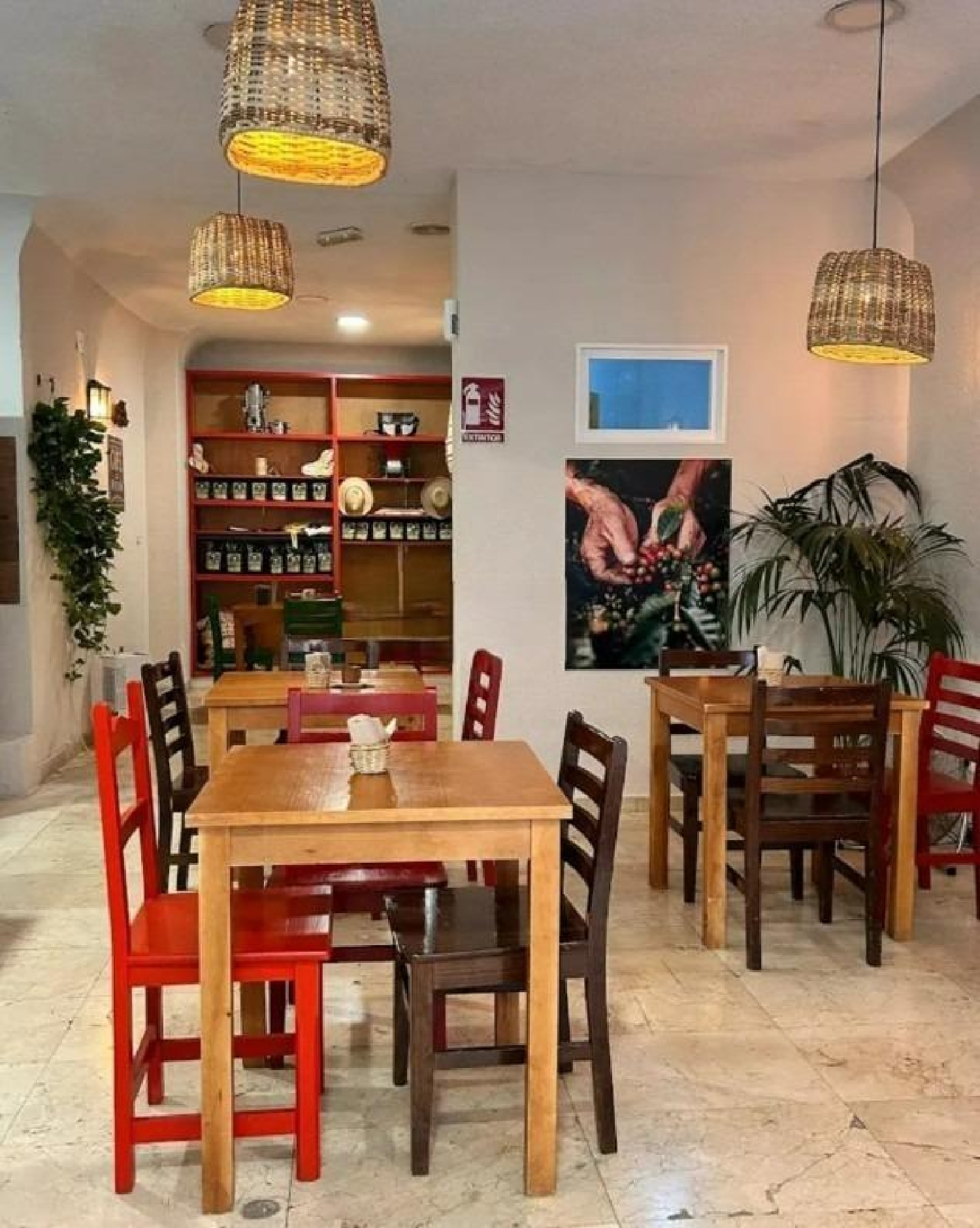  en venta local Alicante Centro 03001 Alacantí 1