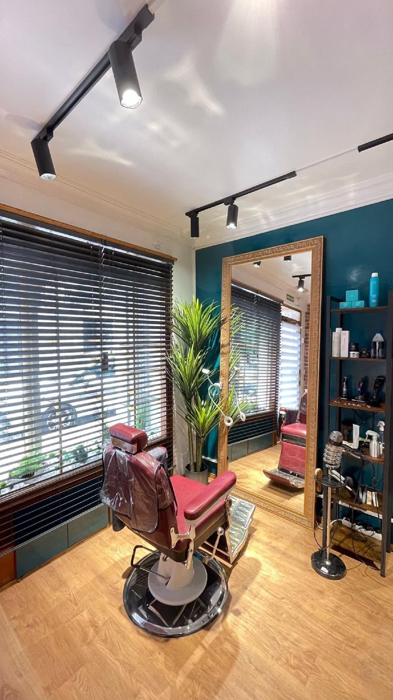  en venta local Alicante Centro 03001 Alacantí 3