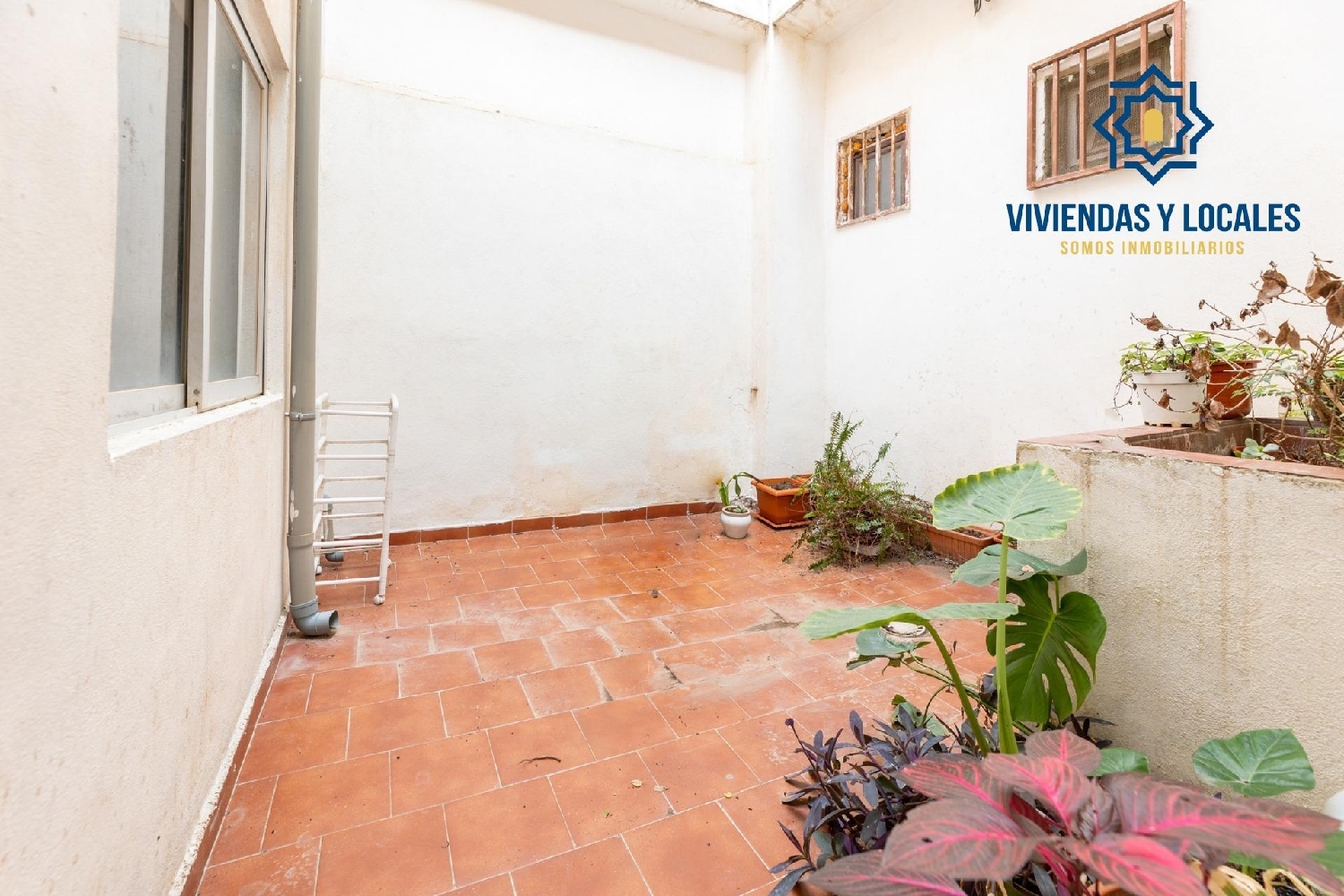  till salu lokal Armilla Vega De Granada 8