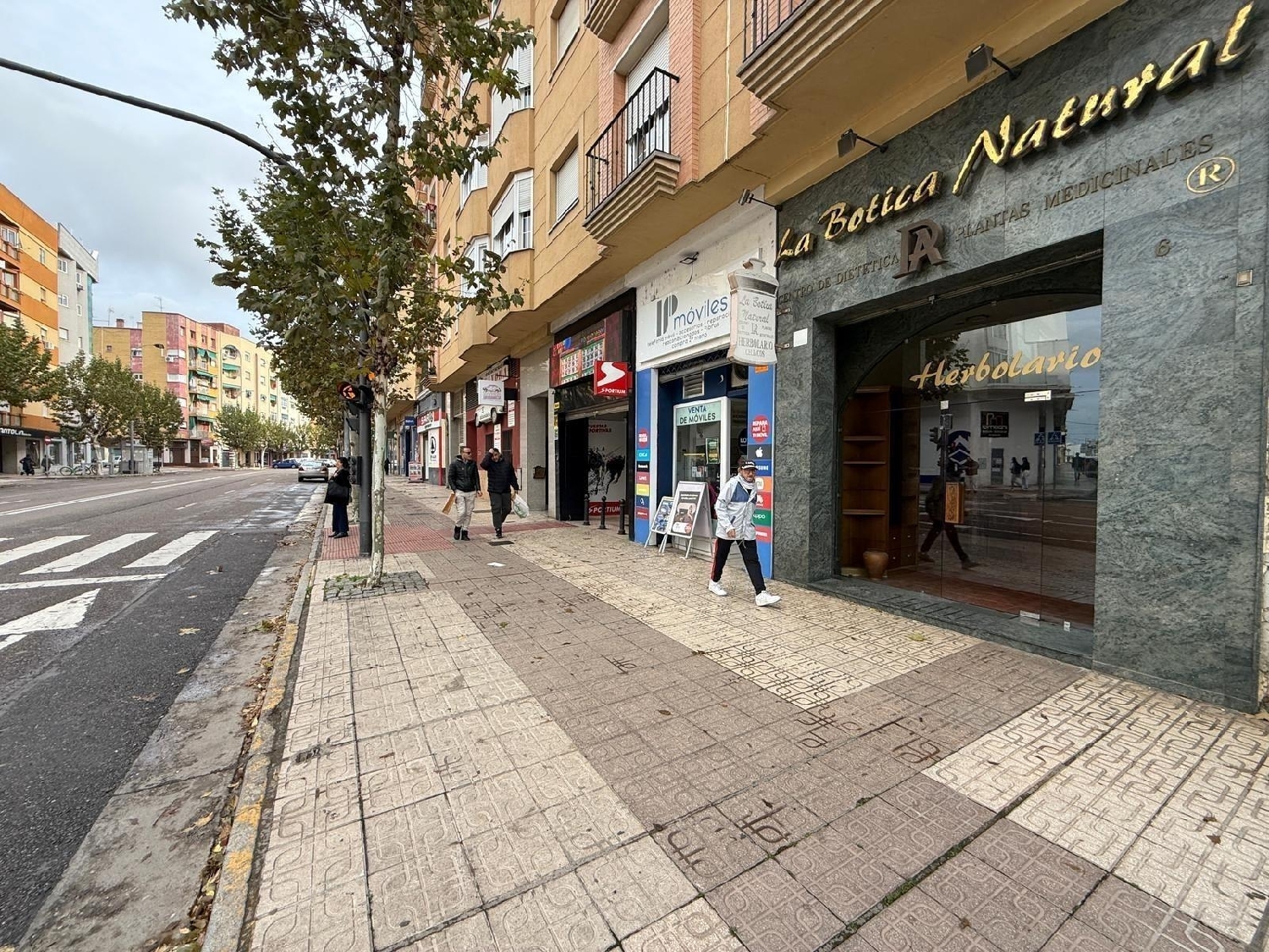  for sale commercial premise Badajoz Casco Antiguo-Centro Badajoz 4