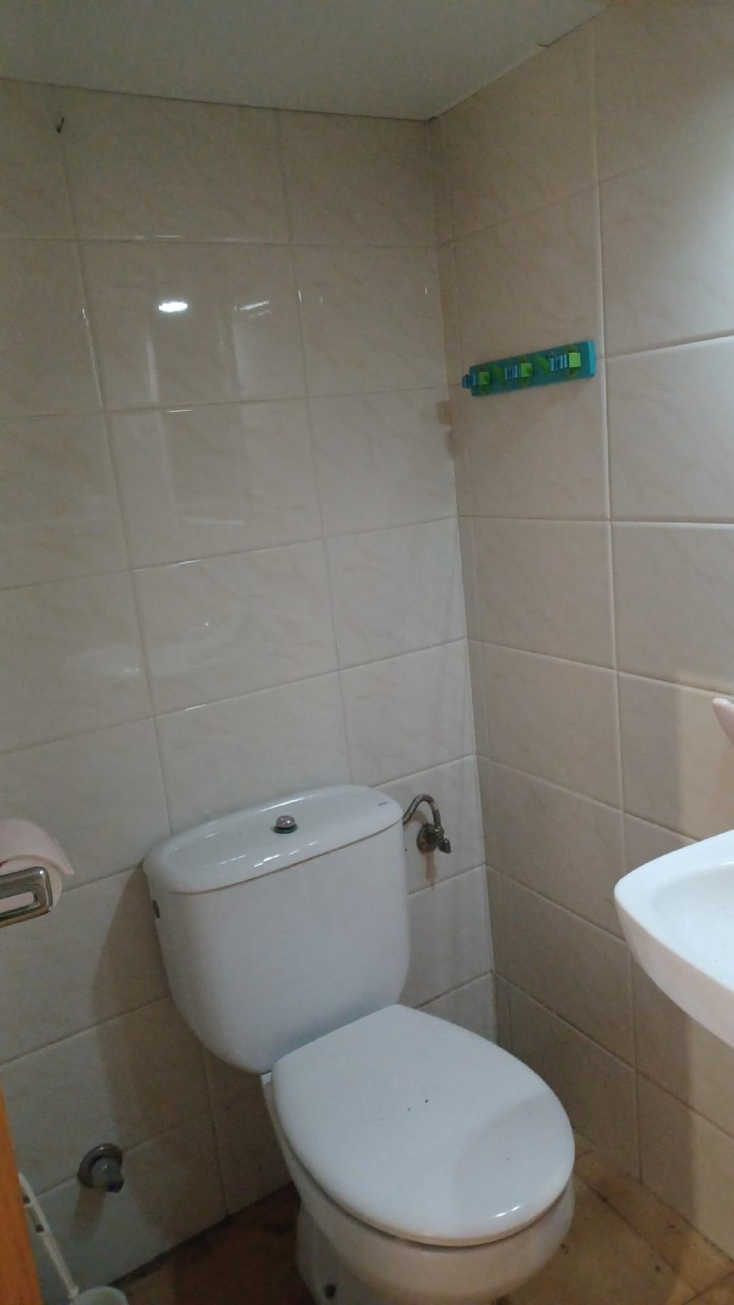 for sale commercial premise Barriada Les Tres Creus Bages 6