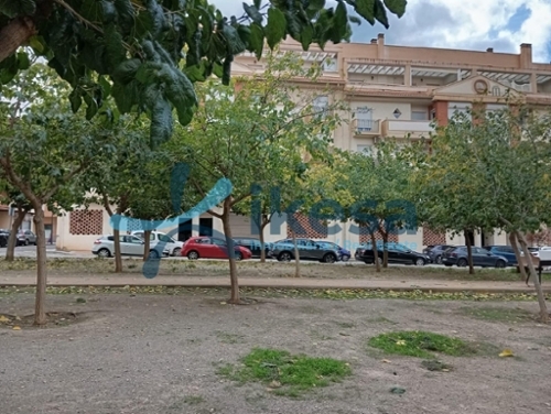 Beas De Guadix Accitania bedrijfsruimte foto 6337363