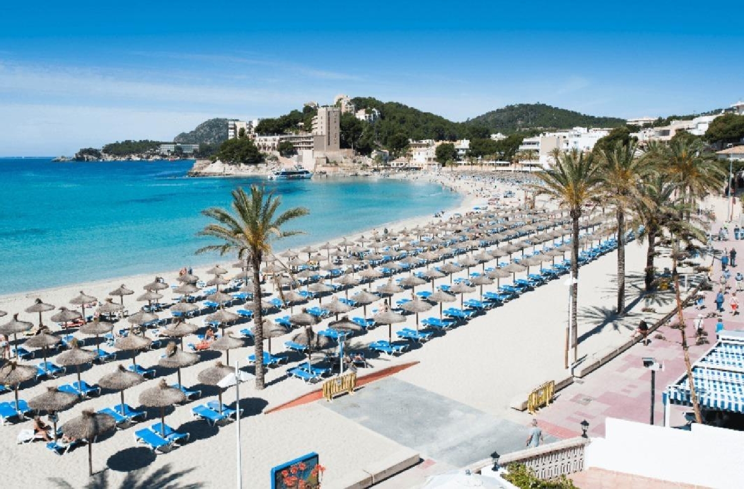  kaufen Gewerberaum Calvià Ponent 1