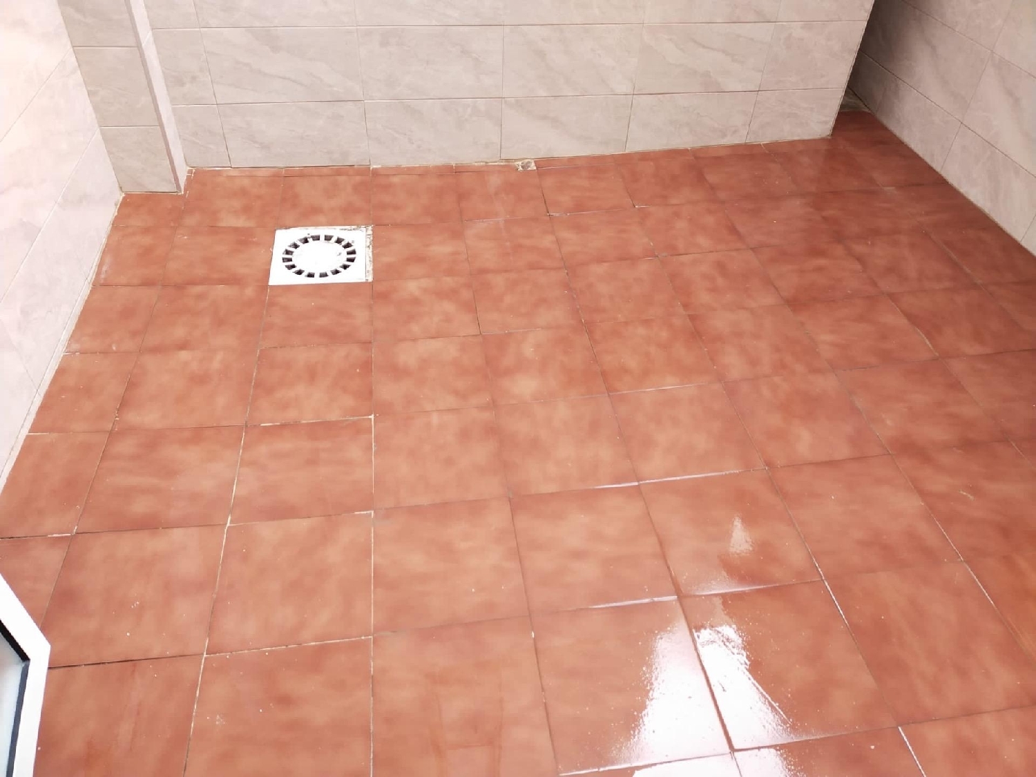  for sale commercial premise Cieza Vega Alta Del Segura 4