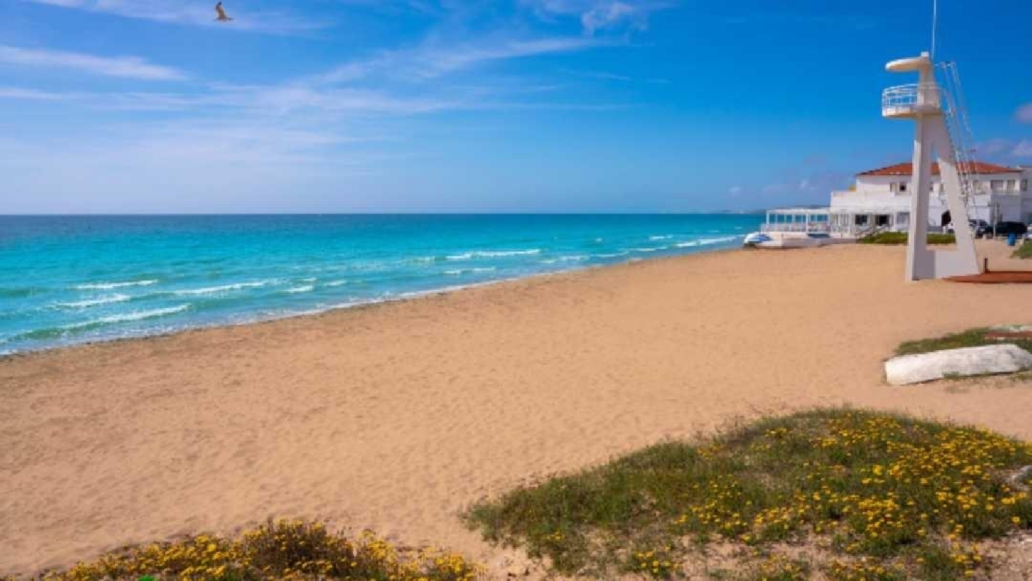 for sale commercial premise Dolores Baix Segura 7