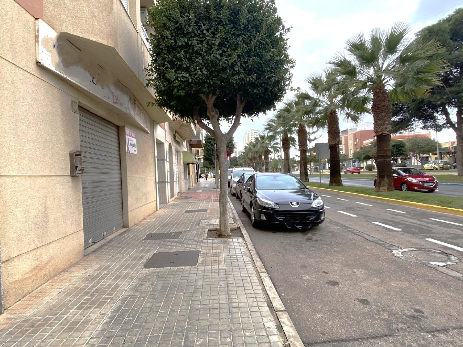 for sale commercial premise El Ejido Poniente Almeriense 1