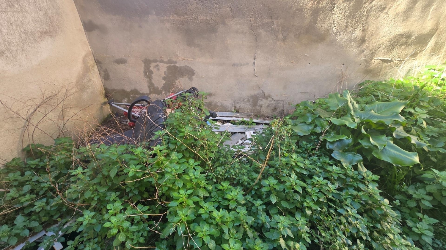 à vendre local commercial Inca Raiguer 7