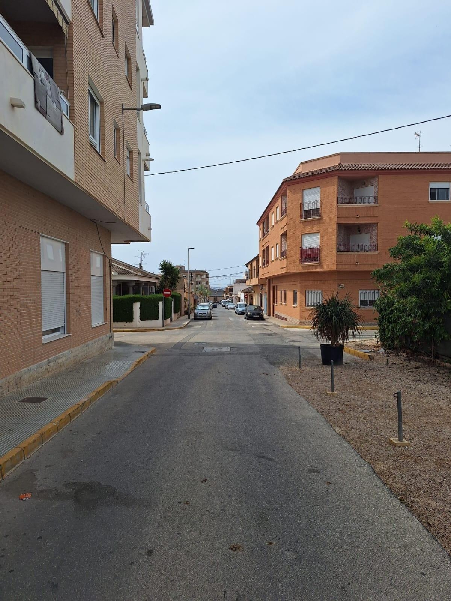 for sale commercial premise Los Montesinos Baix Segura 1