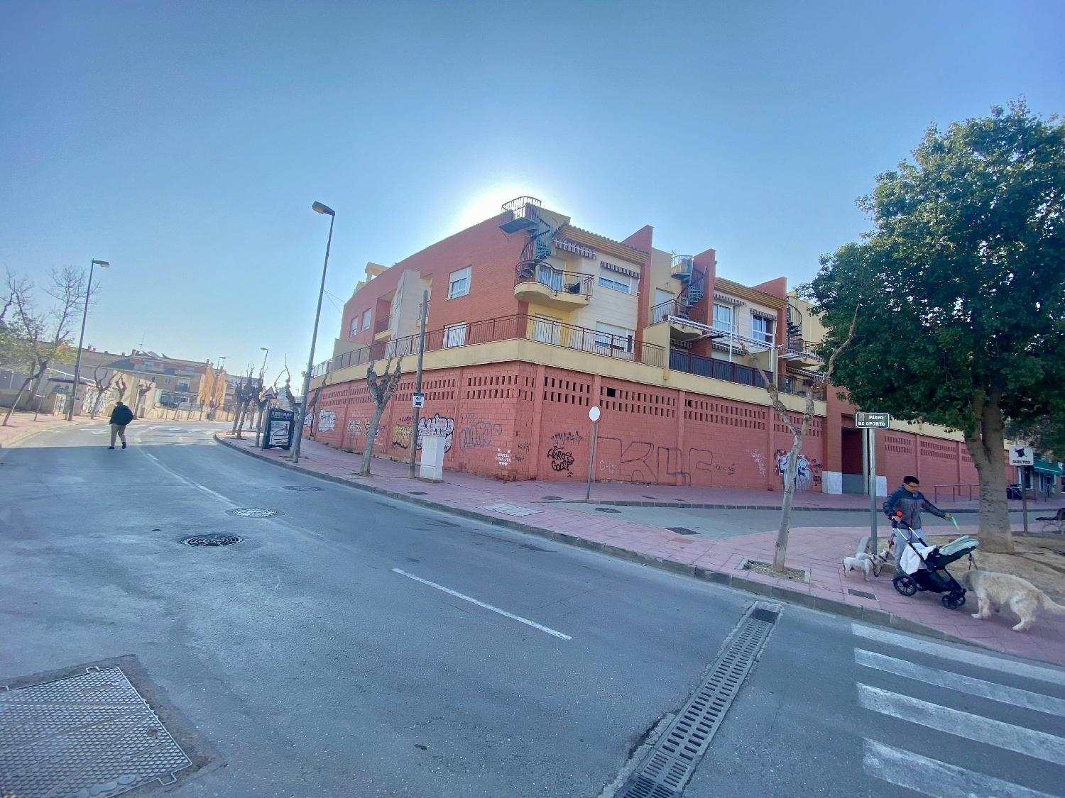 à vendre local commercial Molina De Segura Vega Media Del Segura 2