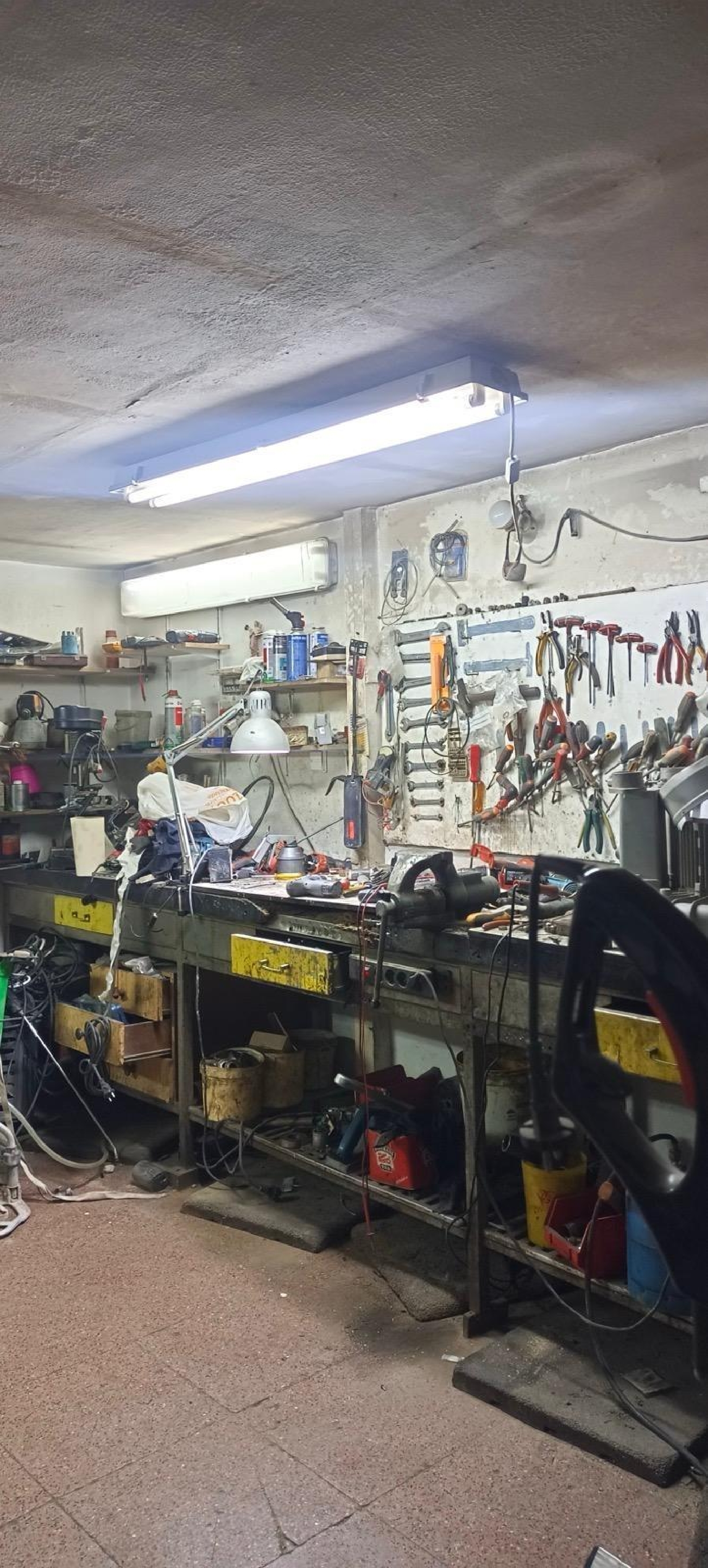  for sale commercial premise Molina De Segura Vega Media Del Segura 6