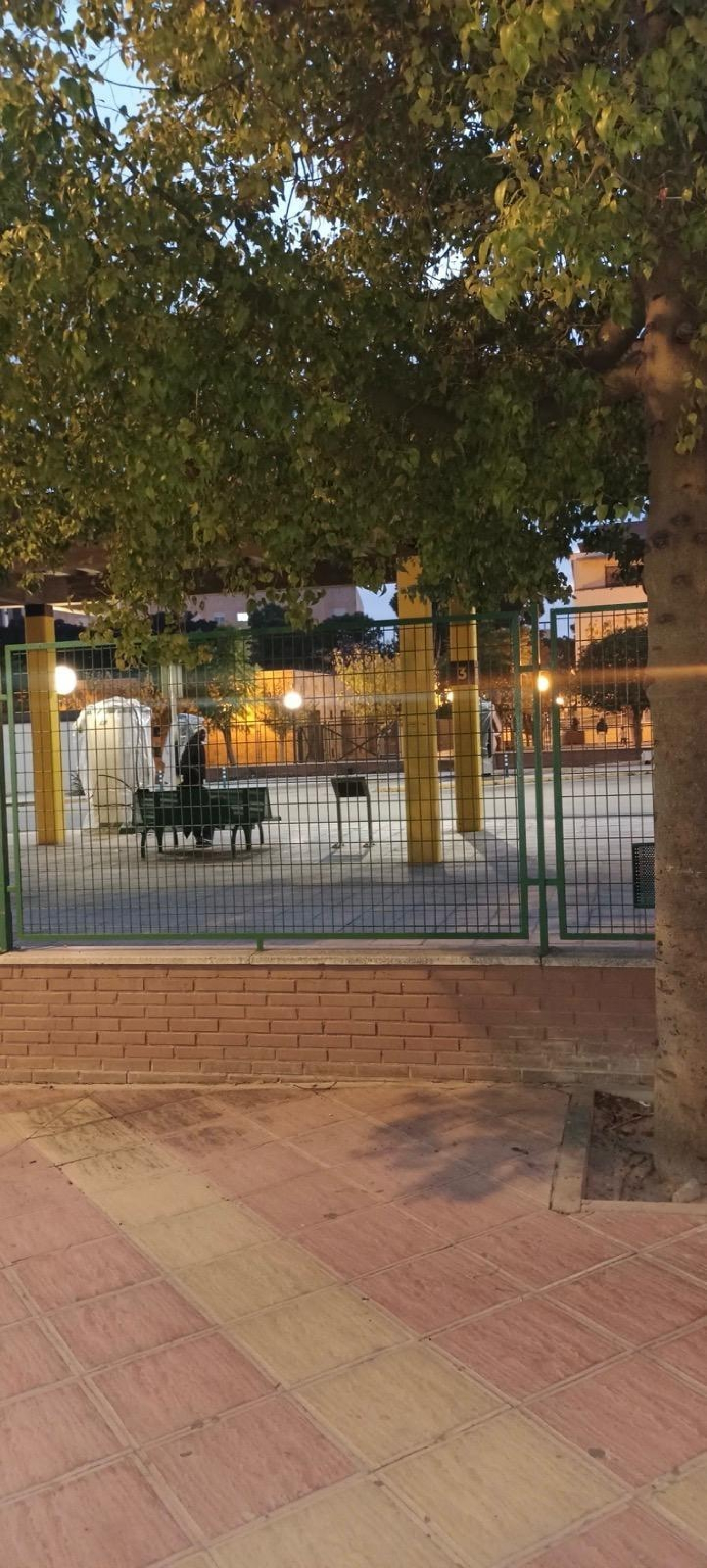  for sale commercial premise Molina De Segura Vega Media Del Segura 4