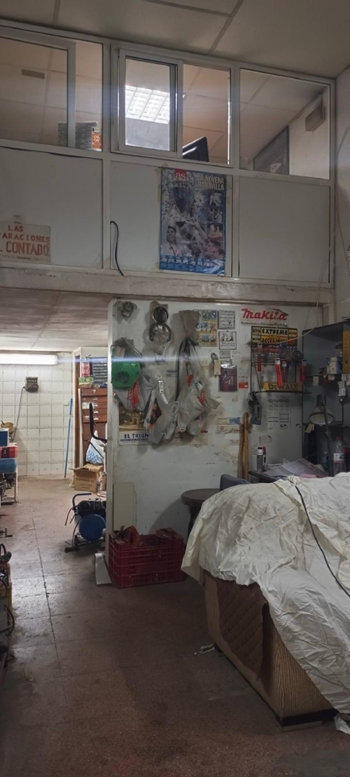 Molina De Segura Vega Media Del Segura commercial premise foto 6338751