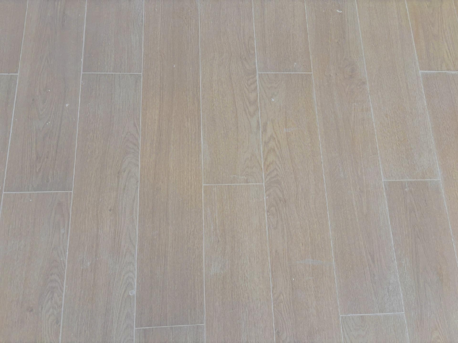 till salu lokal Paiporta Horta Sud 8