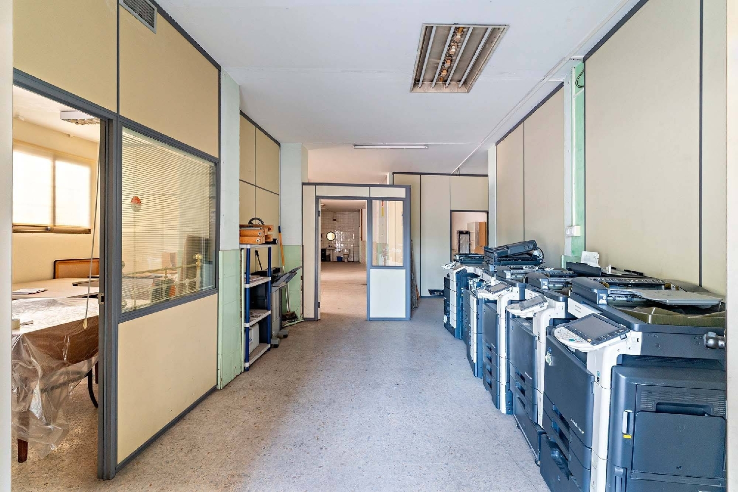  for sale commercial premise Palmeria Marina Alta 8