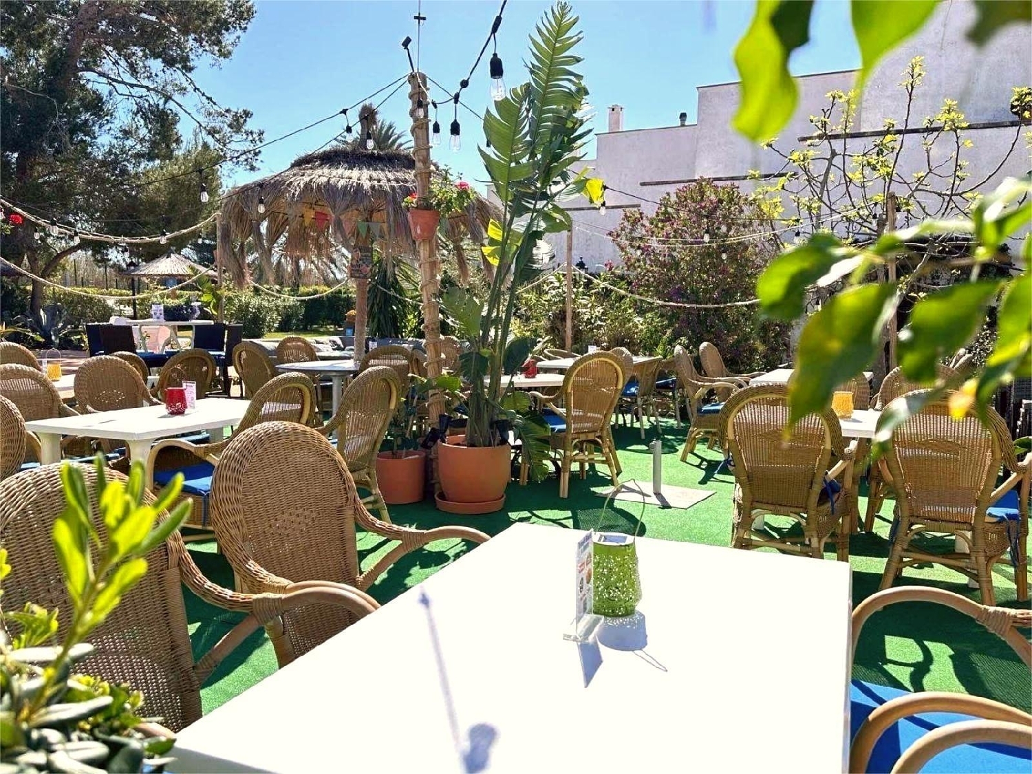  en venta local Pollença Nord 2