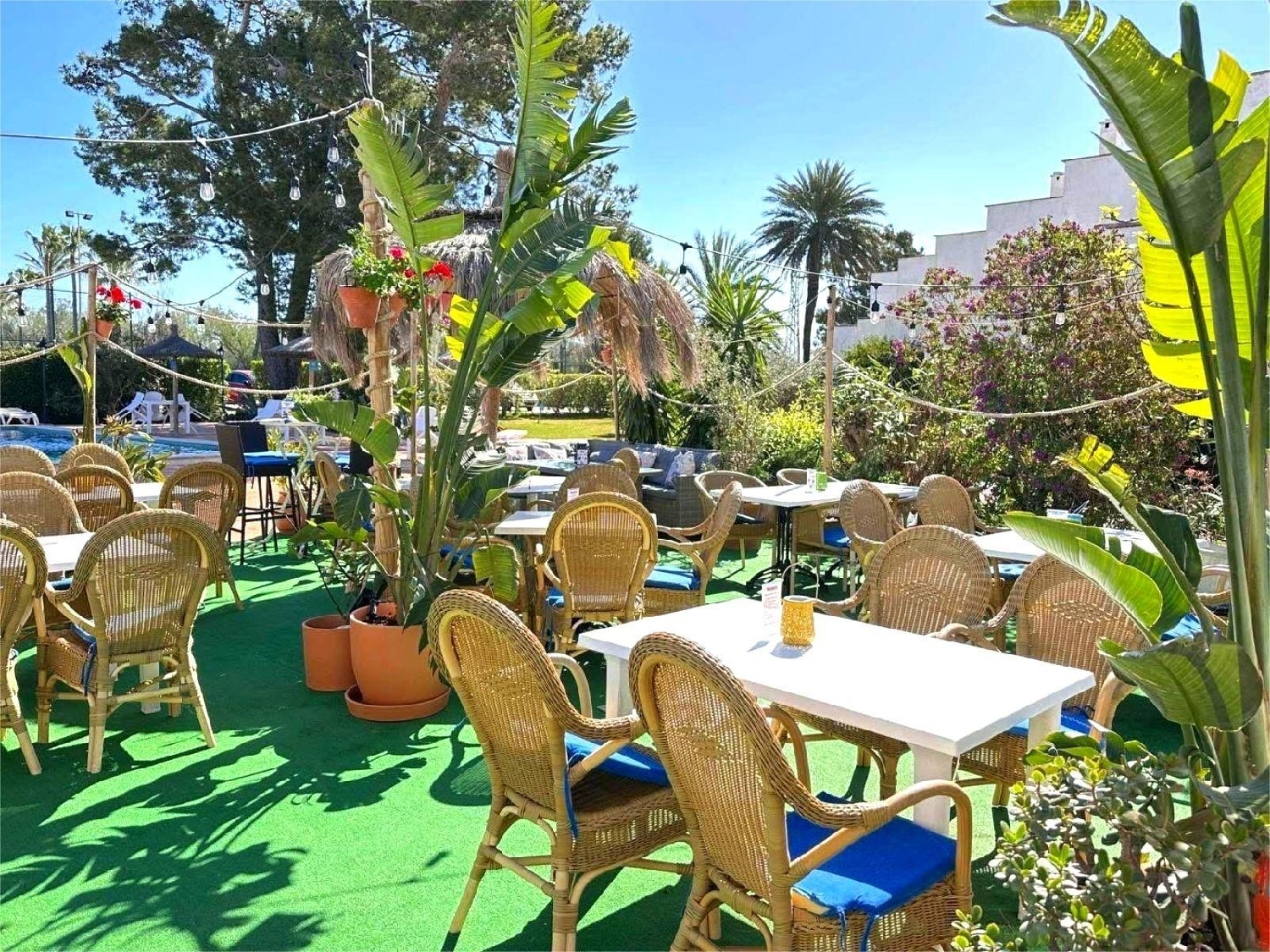  en venta local Pollença Nord 1