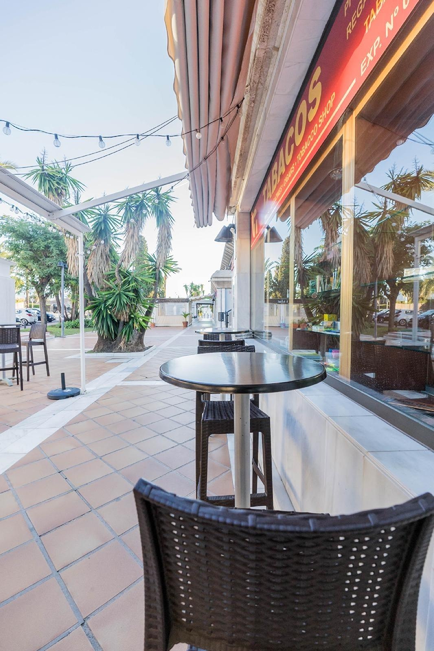 for sale commercial premise San Pedro De Alcántara Costa Del Sol Occidental 6