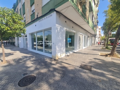 Sevilla La Nueva Sur commercial premise foto 6330883
