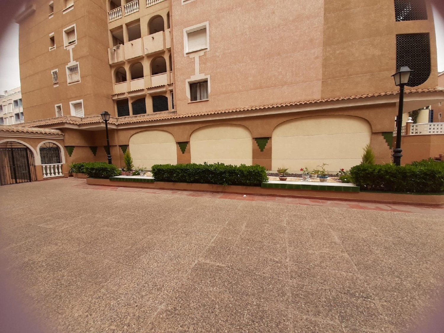  for sale commercial premise Torrevieja Baix Segura 7