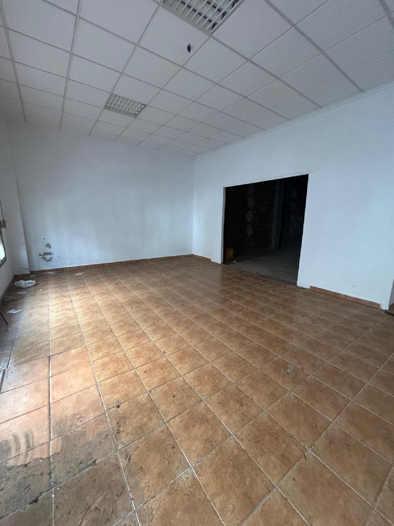  for sale commercial premise Torrevieja Baix Segura 2