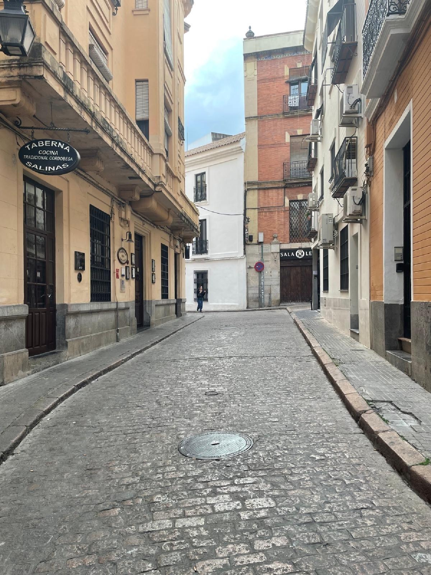  till salu lokal Villafranca De Córdoba Alto Guadalquivir 1