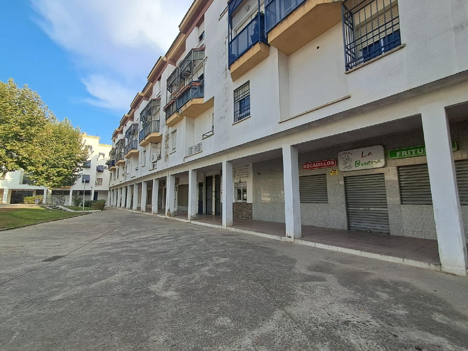  kaufen Gewerberaum Villafranca De Córdoba Alto Guadalquivir 5