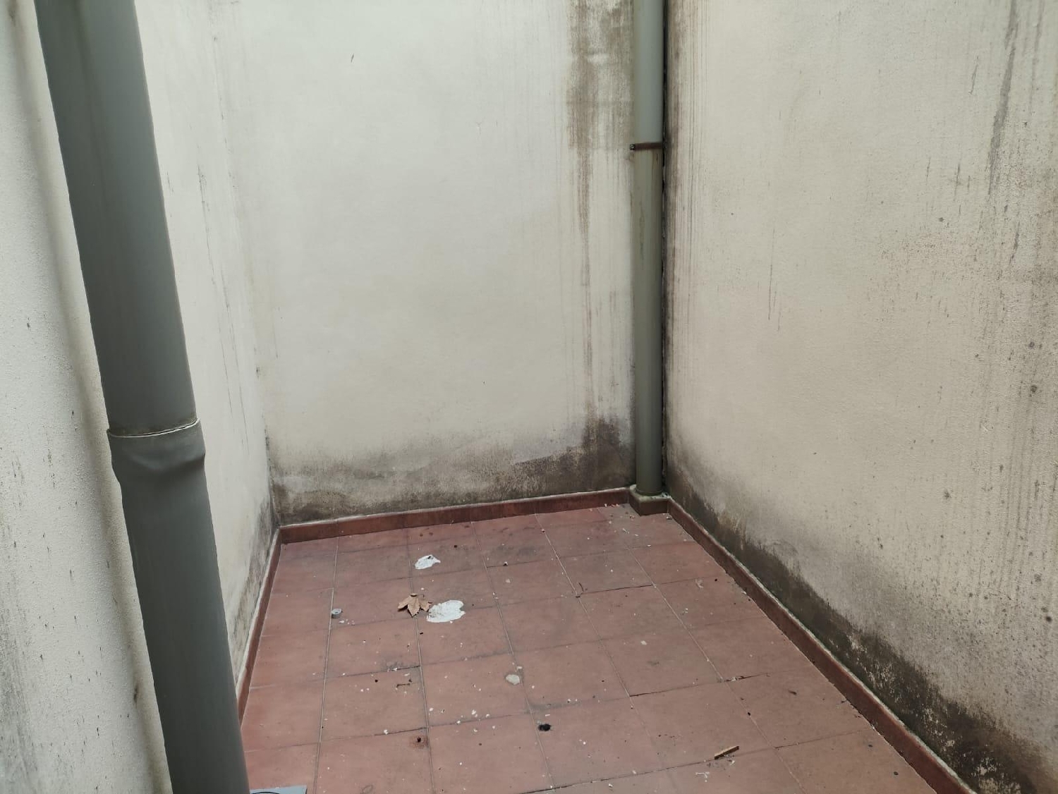  for sale commercial premise Villanueva De Castellón Ribera Alta 3