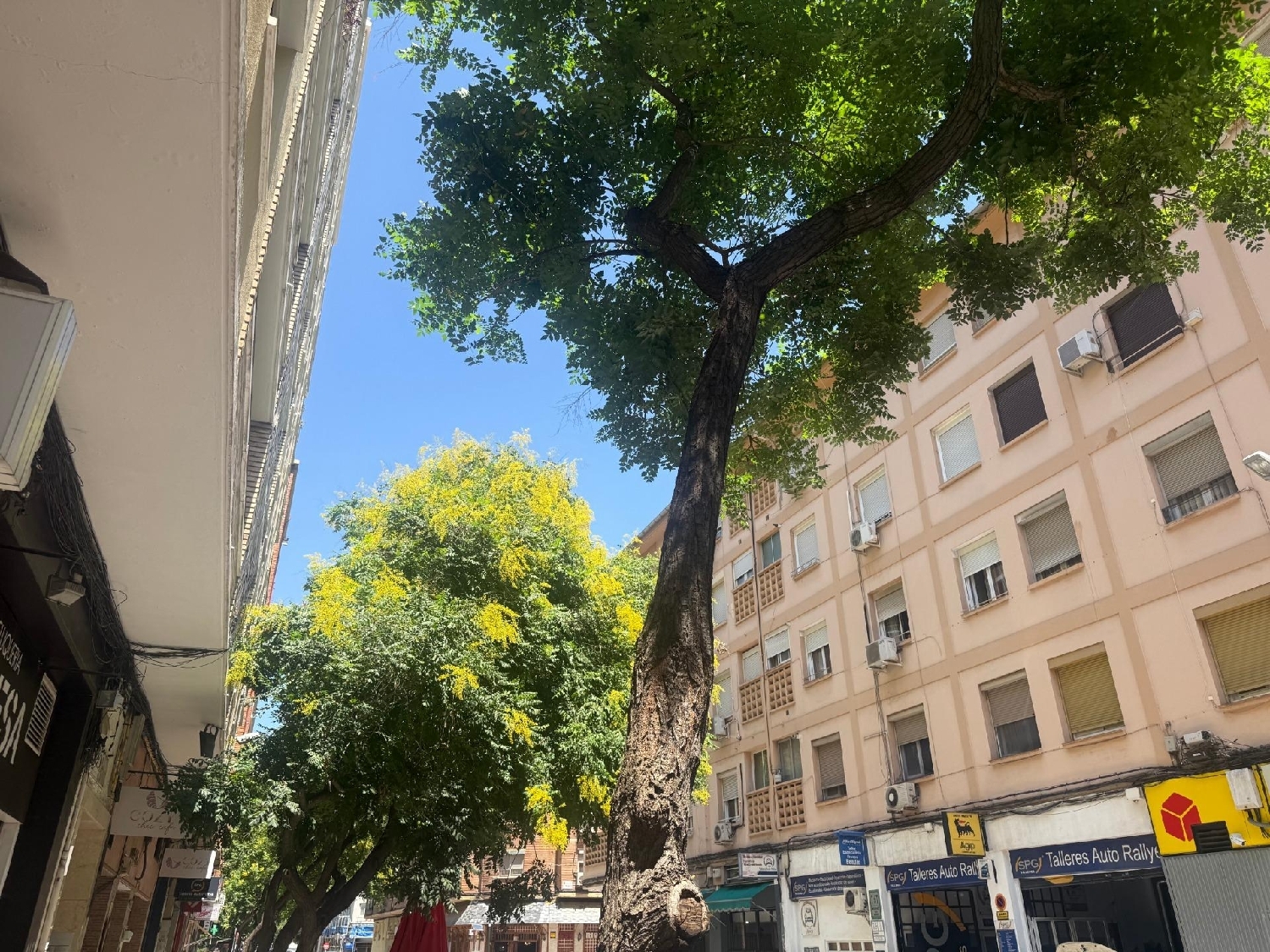  till salu lokal Zaragoza Centro 50004 D.C. Zaragoza 6