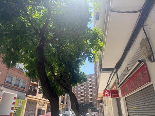  till salu lokal Zaragoza Centro 50004 D.C. Zaragoza 7