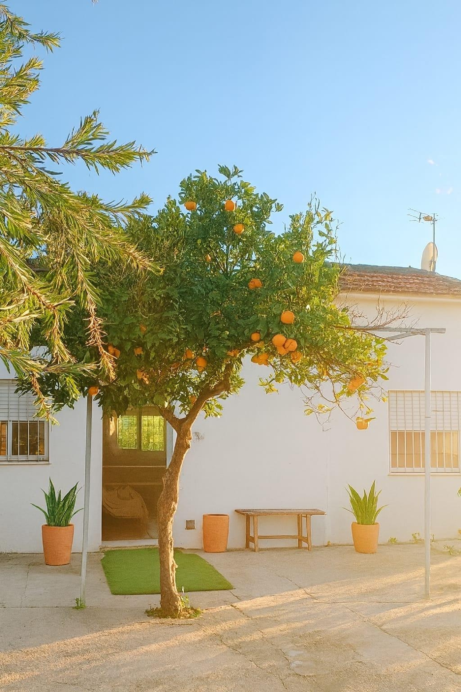  for sale country house Ampliacion De Cartama Valle Del Guadalhorce 2