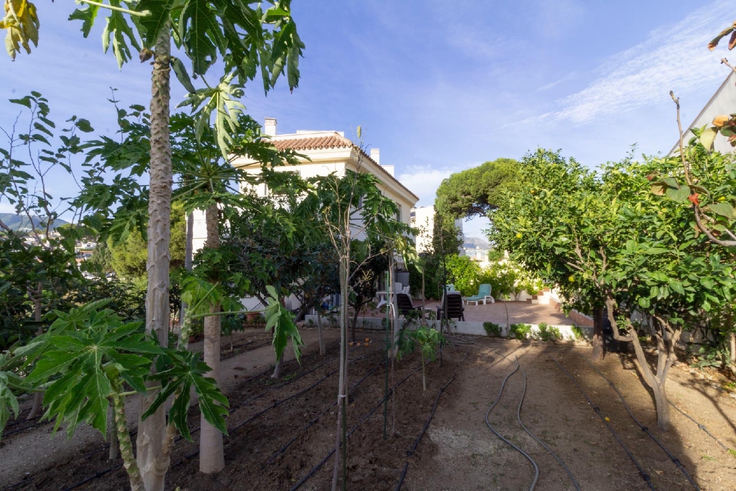  te koop twee-onder-een-kapwoning Fuengirola Costa Del Sol Occidental 3