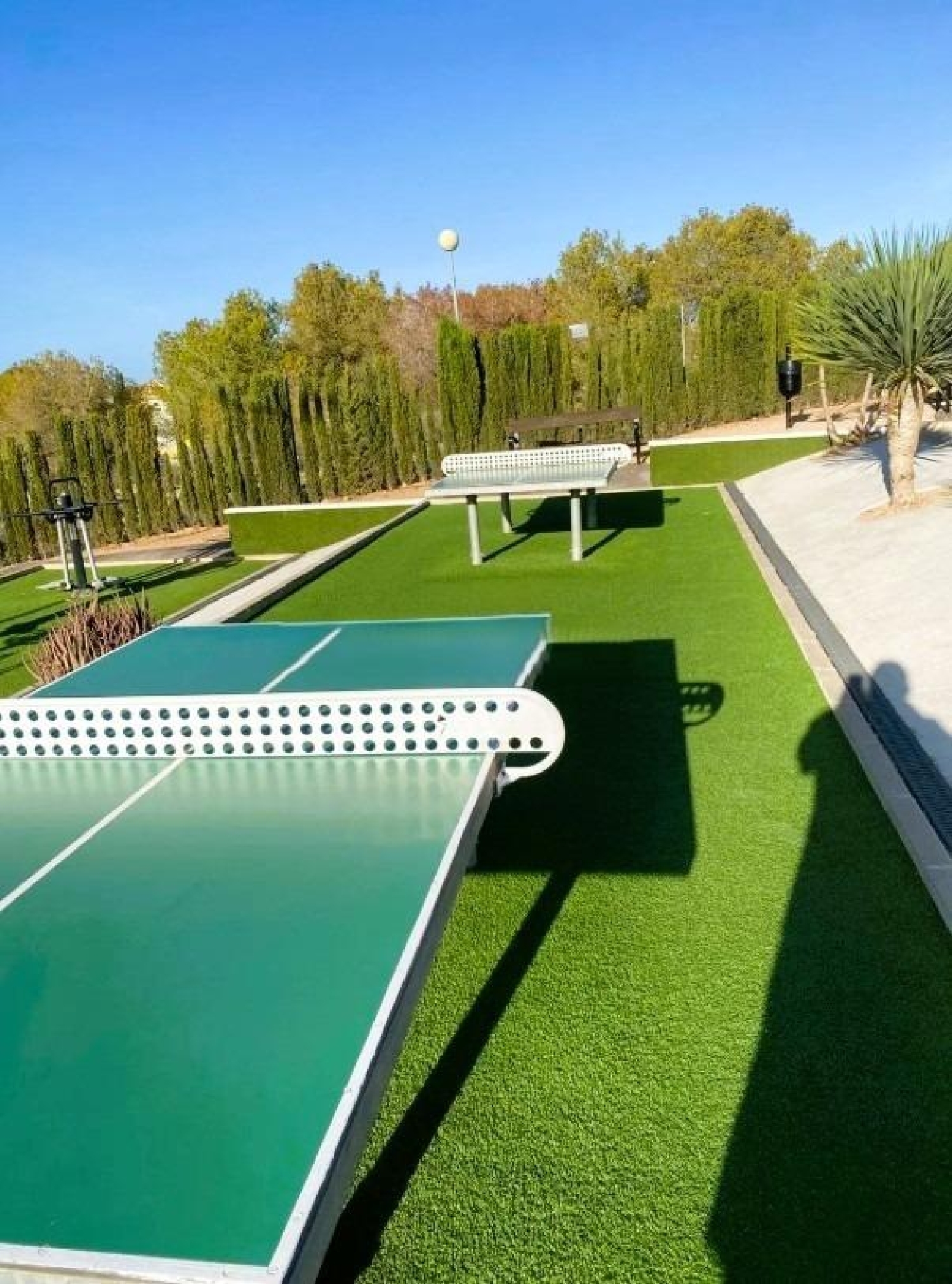  till salu parhus Torrevieja Baix Segura 16