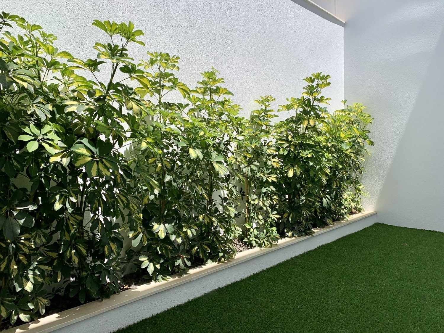  te koop villa San Javier Urbanización Vega De Granada 12