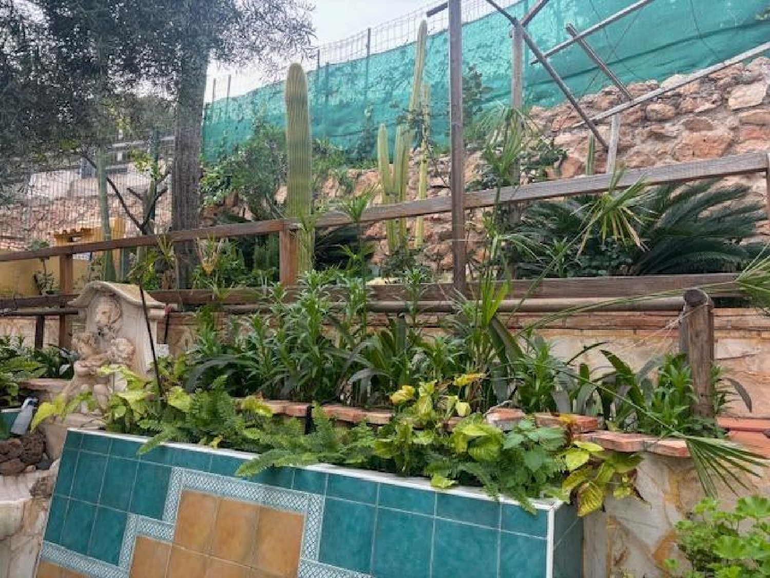  en venta pareado Torrevieja Baix Segura 29