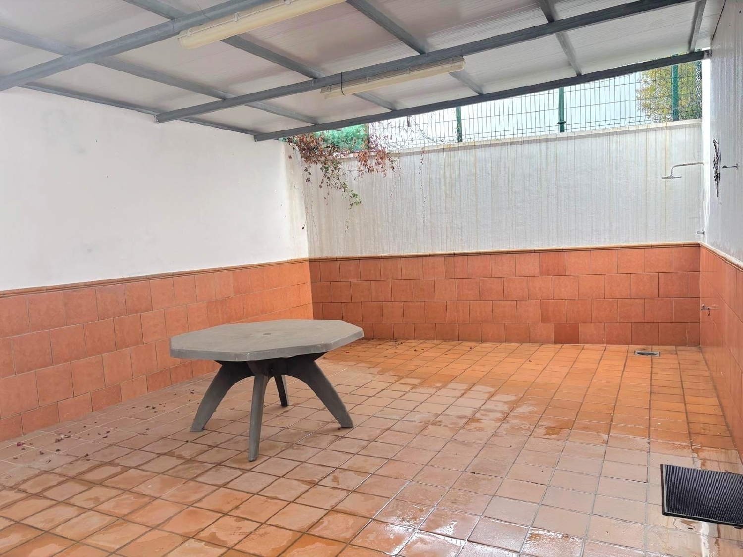 kaufen Laden Algeciras Casco Antiguo Campo De Gibraltar 5