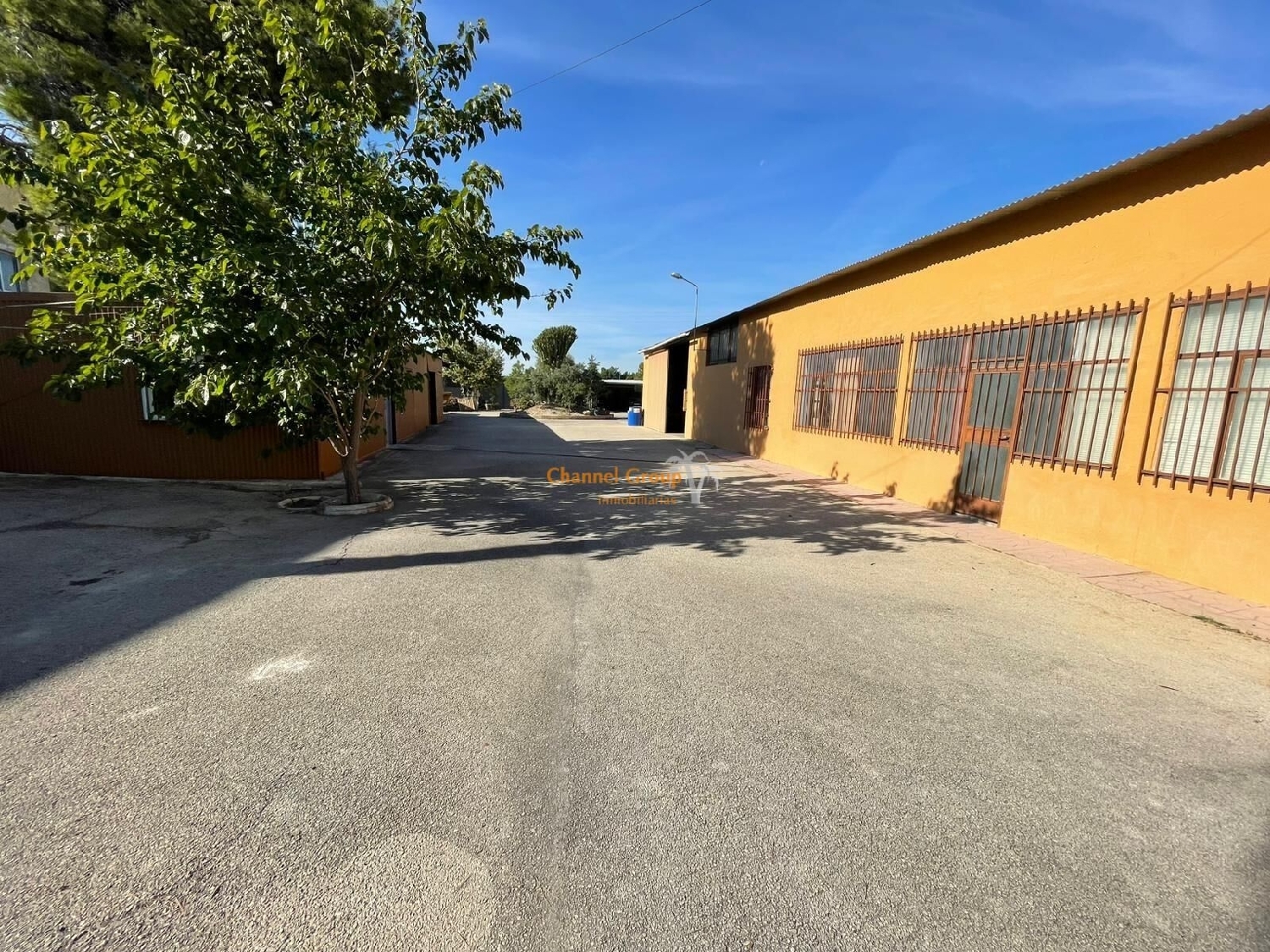  for sale shop Algoda-Matola Baix Vinalopó 5