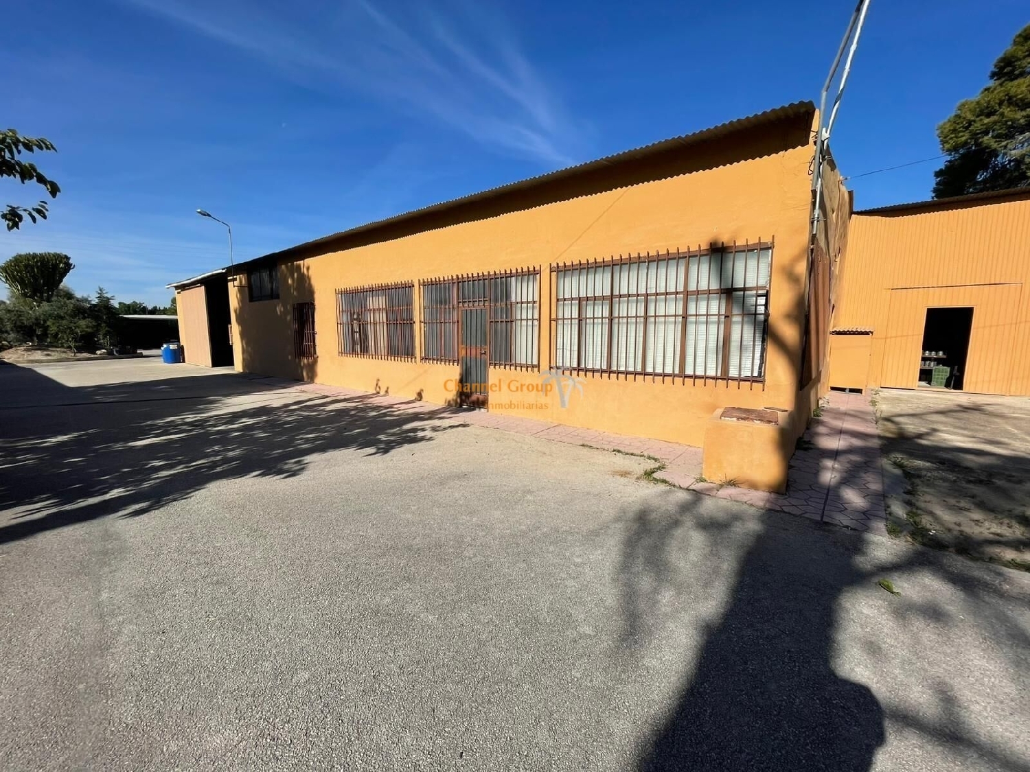  for sale shop Algoda-Matola Baix Vinalopó 1