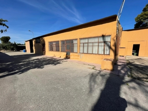 Algoda-Matola Baix Vinalopó shop foto 6328727