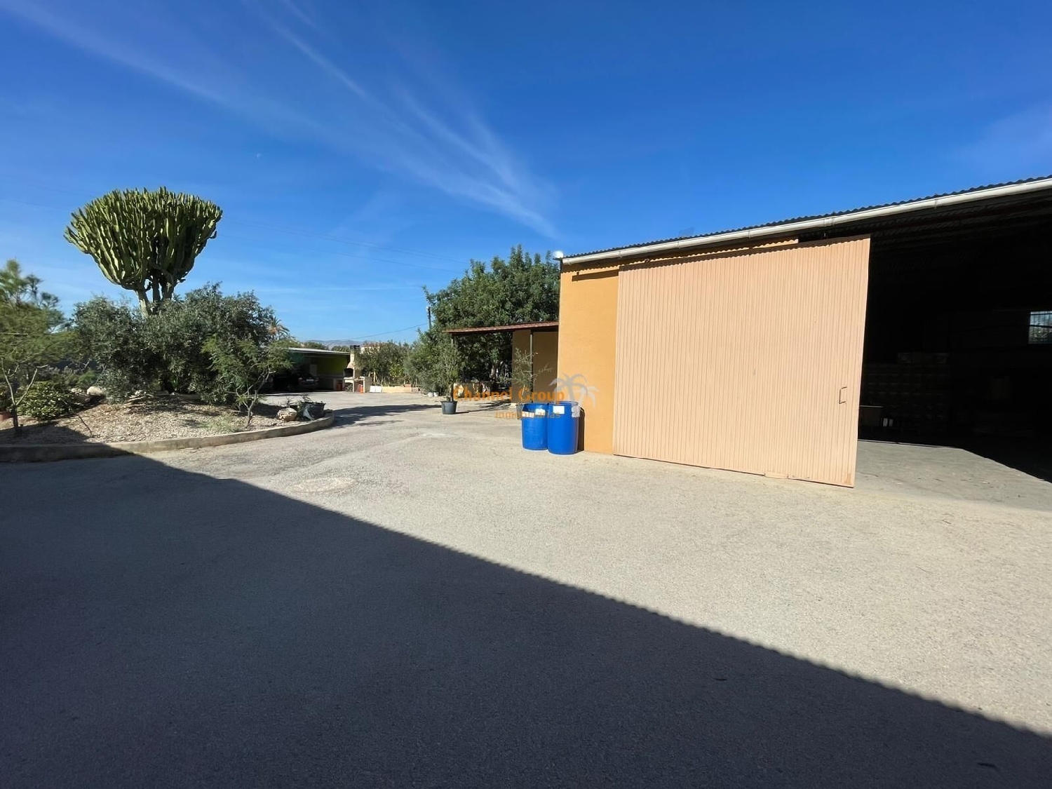  for sale shop Algoda-Matola Baix Vinalopó 2