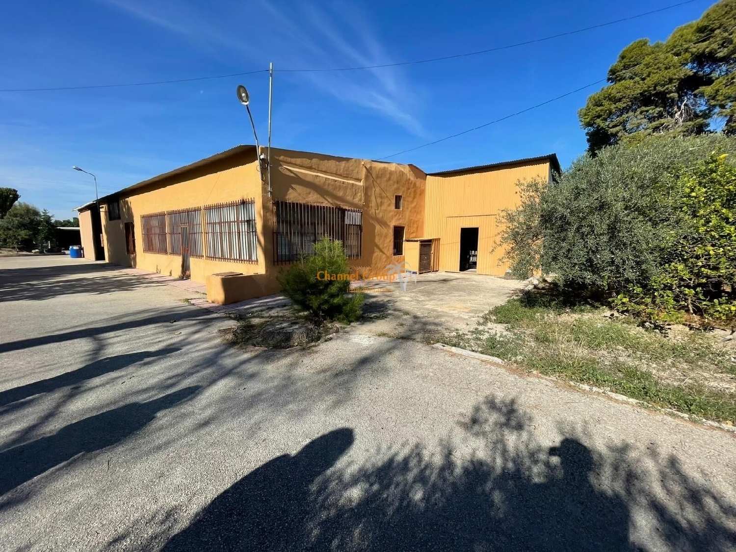  for sale shop Algoda-Matola Baix Vinalopó 6