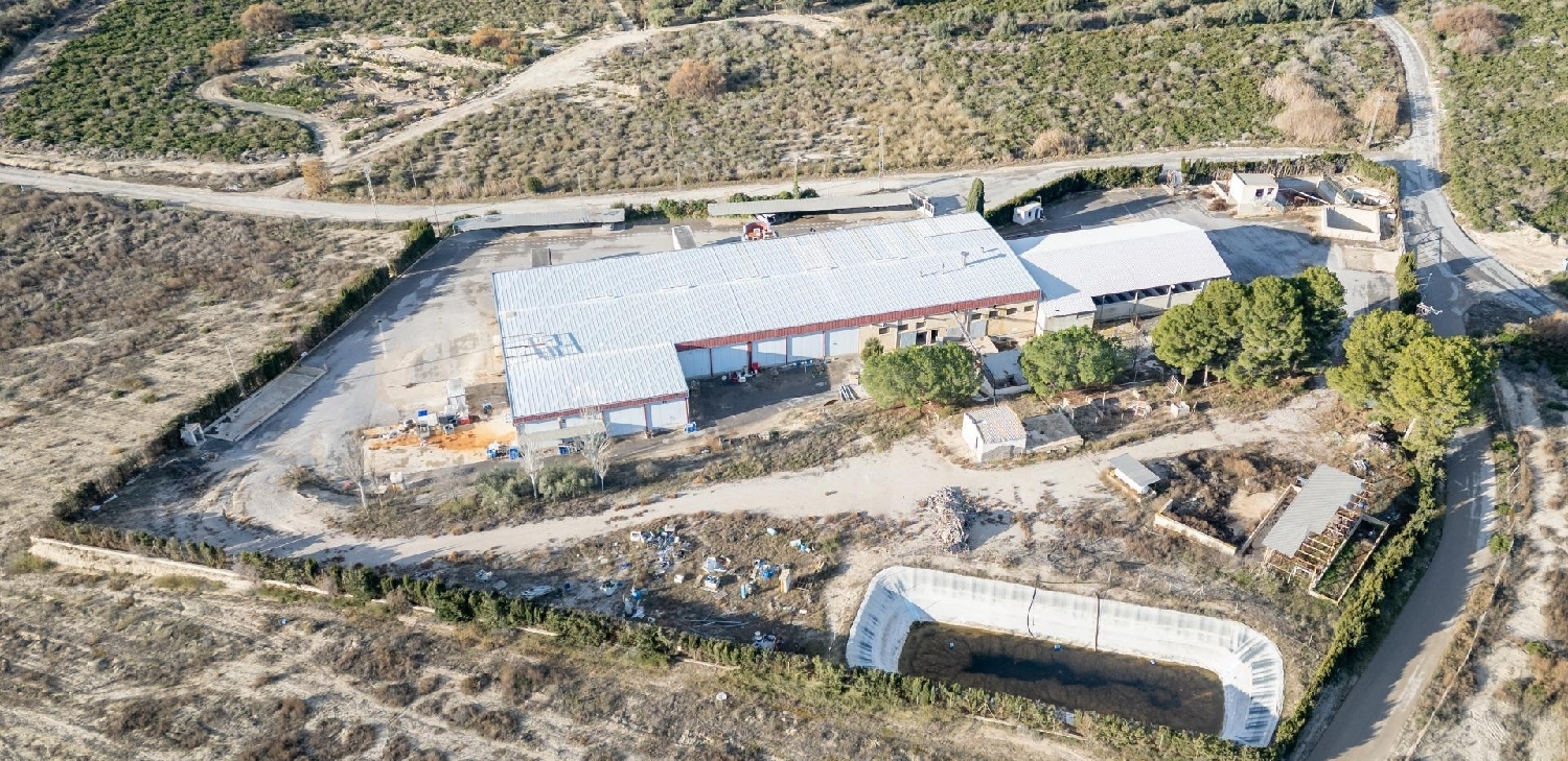 till salu butik Cieza Vega Alta Del Segura 6