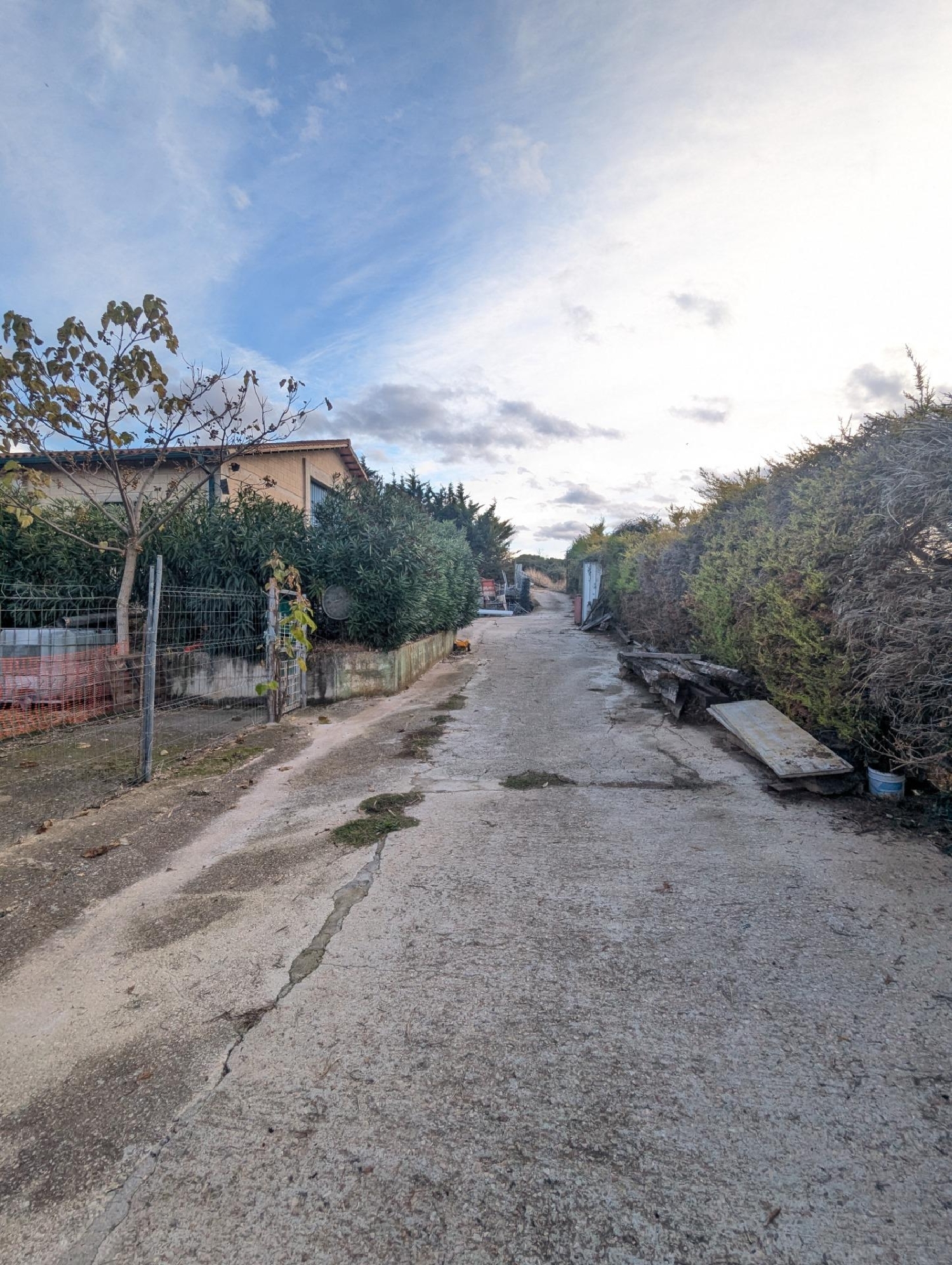  for sale shop Muniáin De La Solana Tierra Estella 5