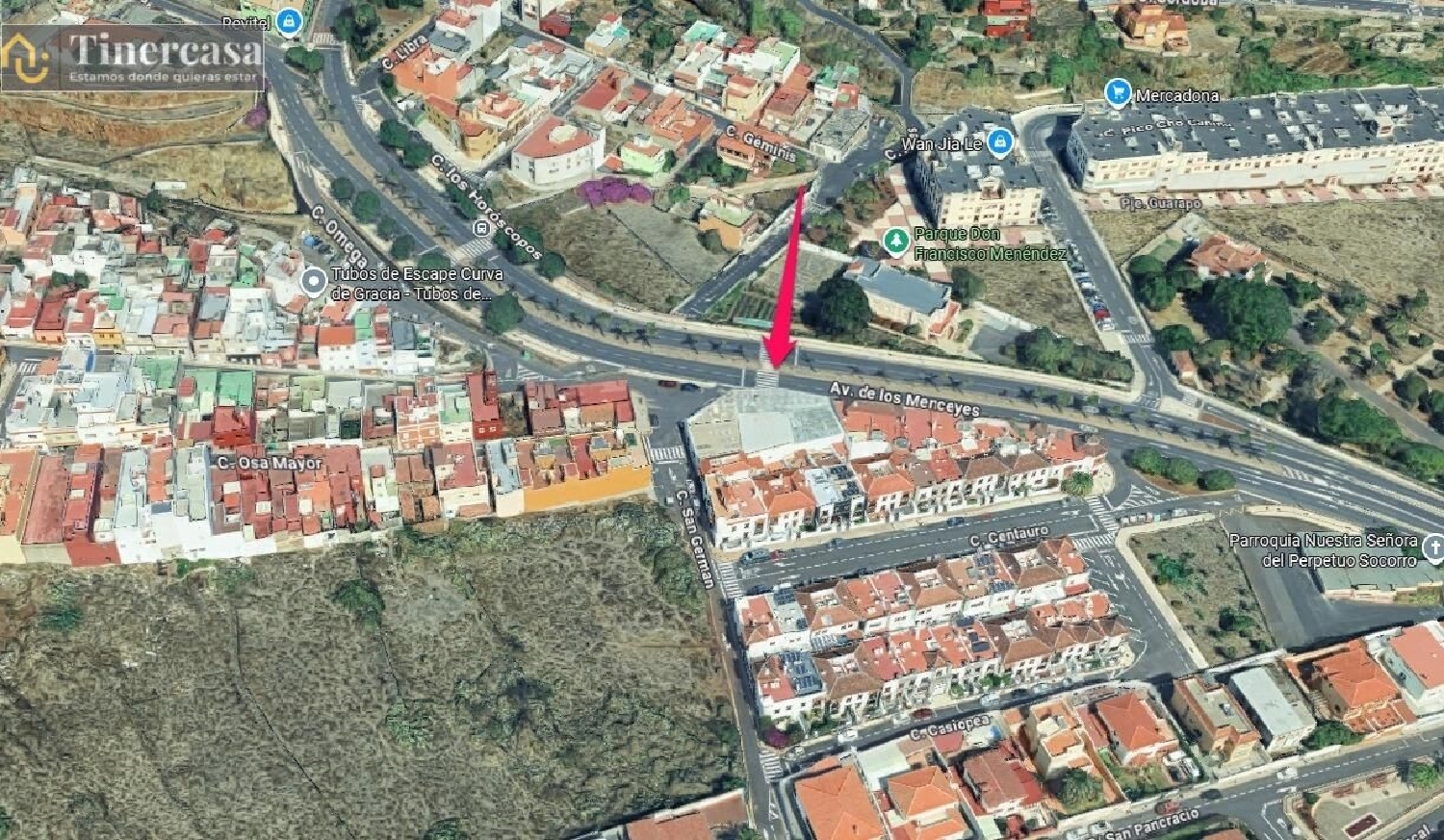  for sale shop San Cristóbal De La Laguna Centro 38201 Zona Metropolitana 3