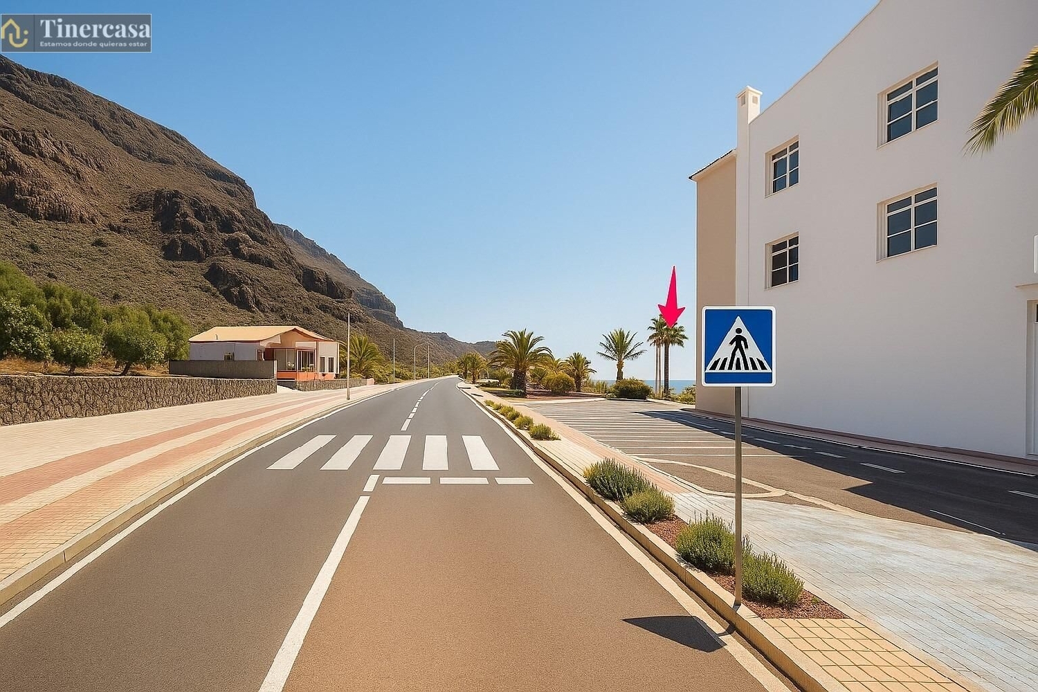 for sale shop Santiago Del Teide Zona Suroeste 8