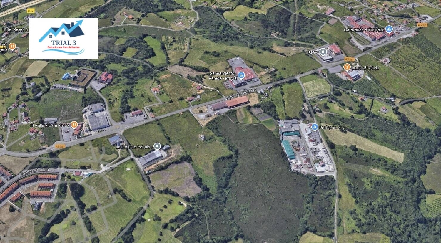  for sale shop Siero Narcea 3