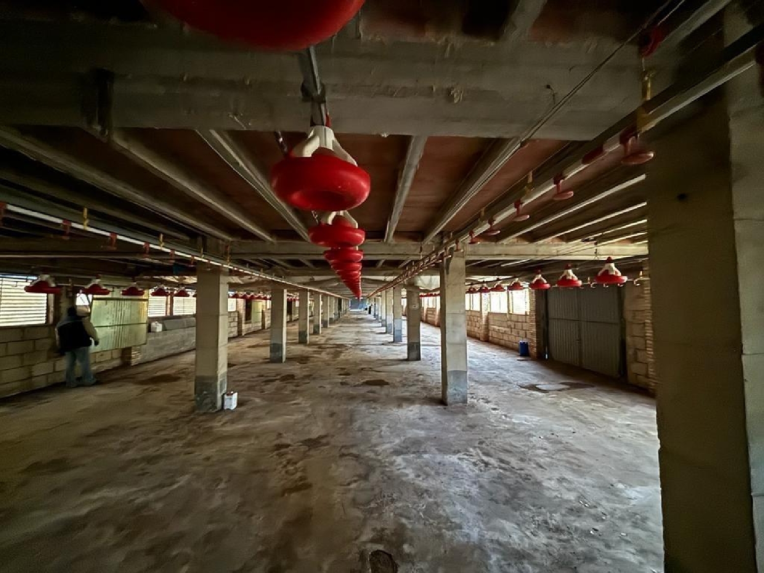  à vendre boutique Sumacàrcer Ribera Alta 5