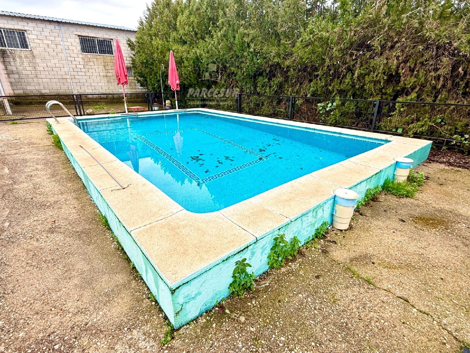 kaufen Laden Villafranca De Córdoba Alto Guadalquivir 2