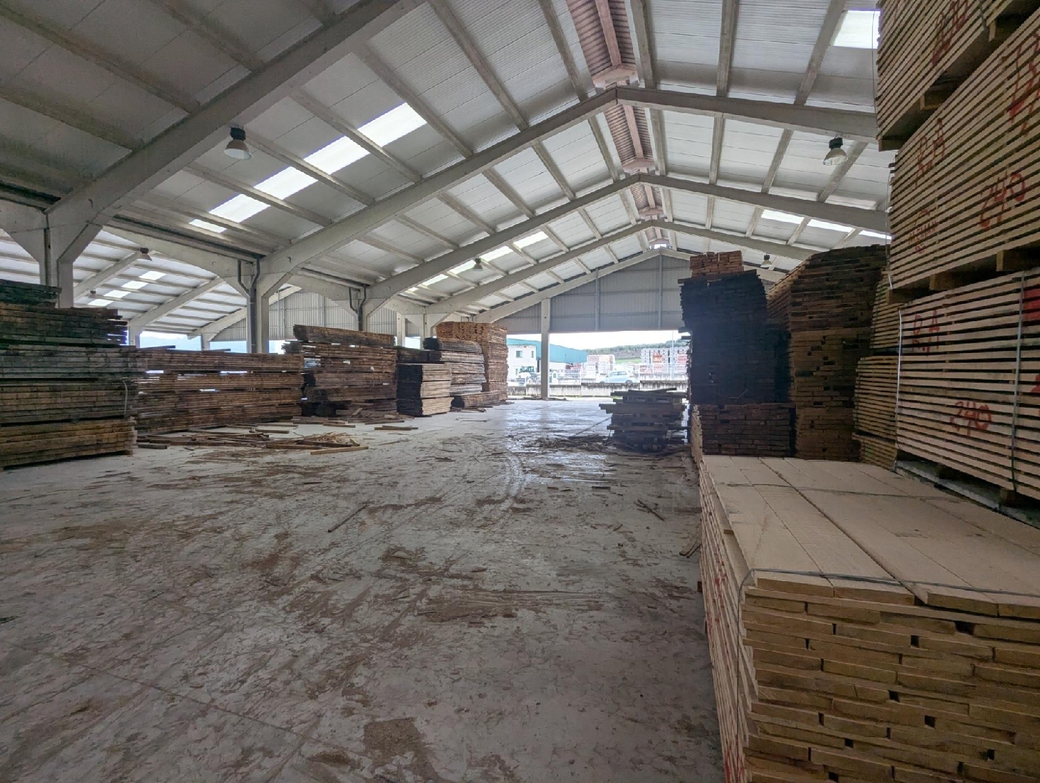  for sale shop Villatuerta Tierra Estella 8